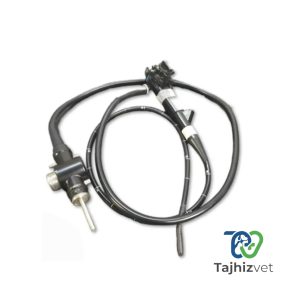 OLYMPUS GIF-XQ200 Gastroscope