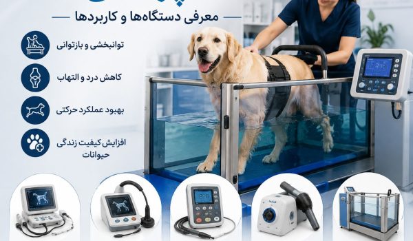 تجهیزات فیزیوتراپی دامپزشکی و دستگاه‌های توانبخشی حیوانات