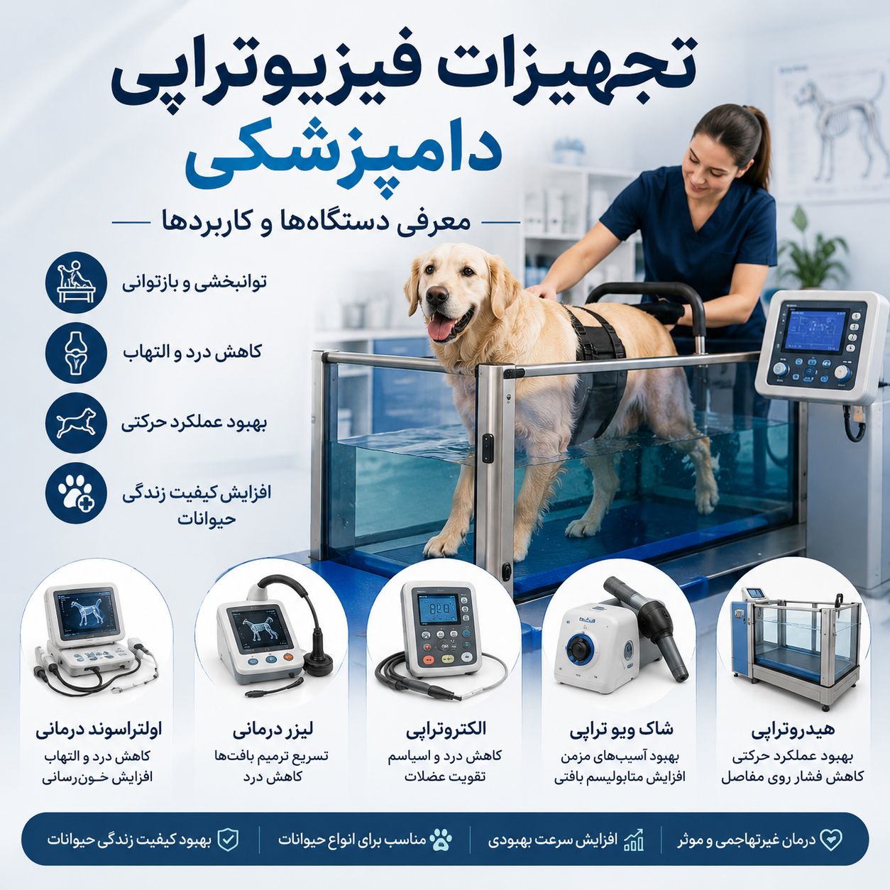 تجهیزات فیزیوتراپی دامپزشکی و دستگاه‌های توانبخشی حیوانات