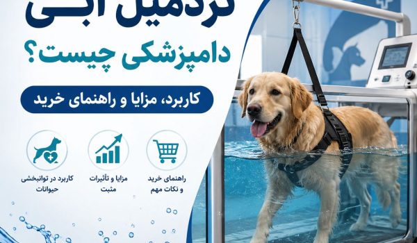 تردمیل آبی دامپزشکی برای فیزیوتراپی و توانبخشی حیوانات