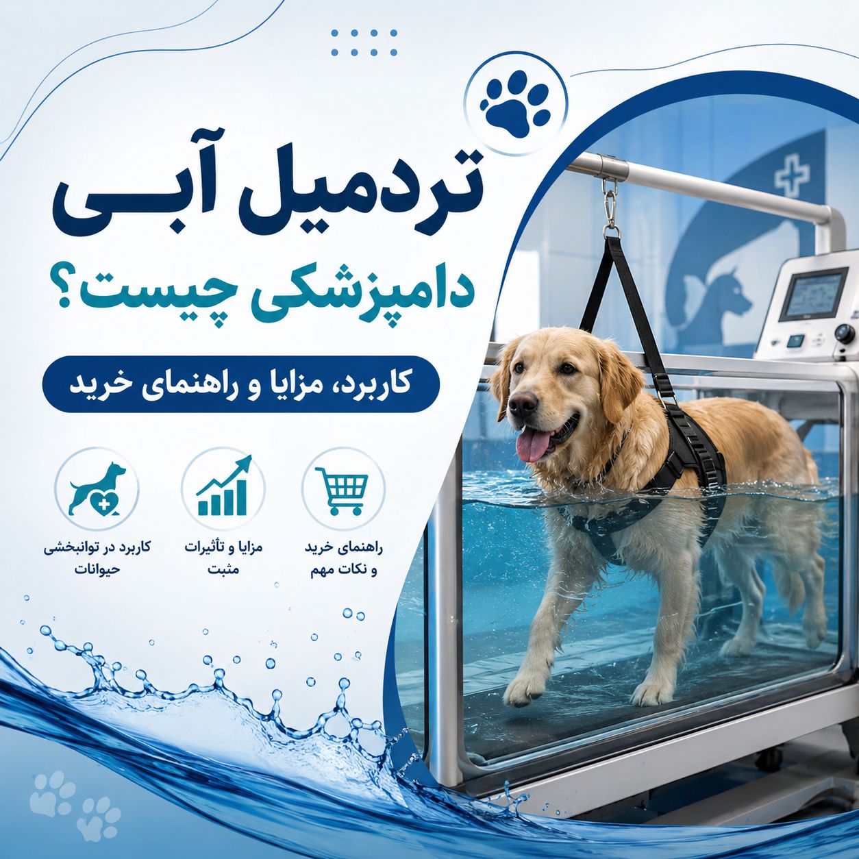 تردمیل آبی دامپزشکی برای فیزیوتراپی و توانبخشی حیوانات