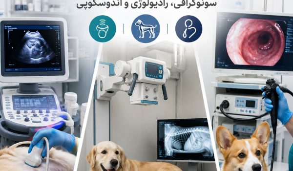 تجهیزات تصویربرداری دامپزشکی شامل سونوگرافی و رادیولوژی