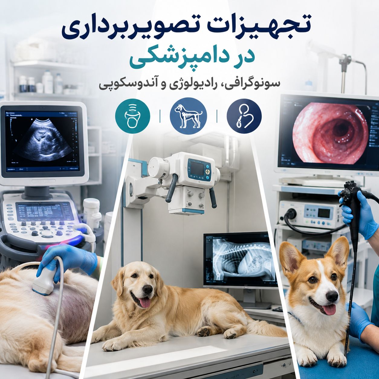 تجهیزات تصویربرداری دامپزشکی شامل سونوگرافی و رادیولوژی