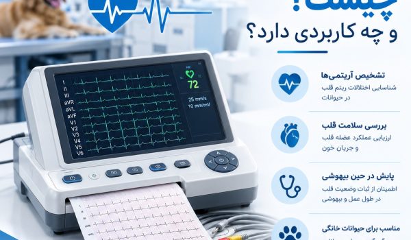 دستگاه نوار قلب دامپزشکی برای ثبت فعالیت الکتریکی قلب حیوانات