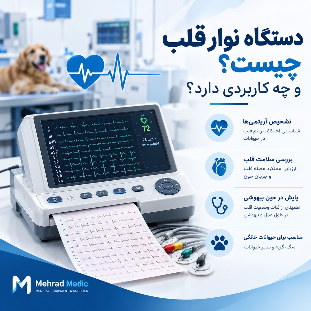 دستگاه نوار قلب دامپزشکی برای ثبت فعالیت الکتریکی قلب حیوانات