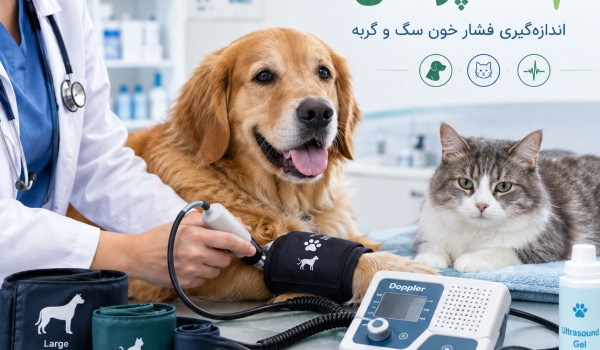 فشارسنج داپلر دامپزشکی برای اندازه‌گیری فشار خون سگ و گربه